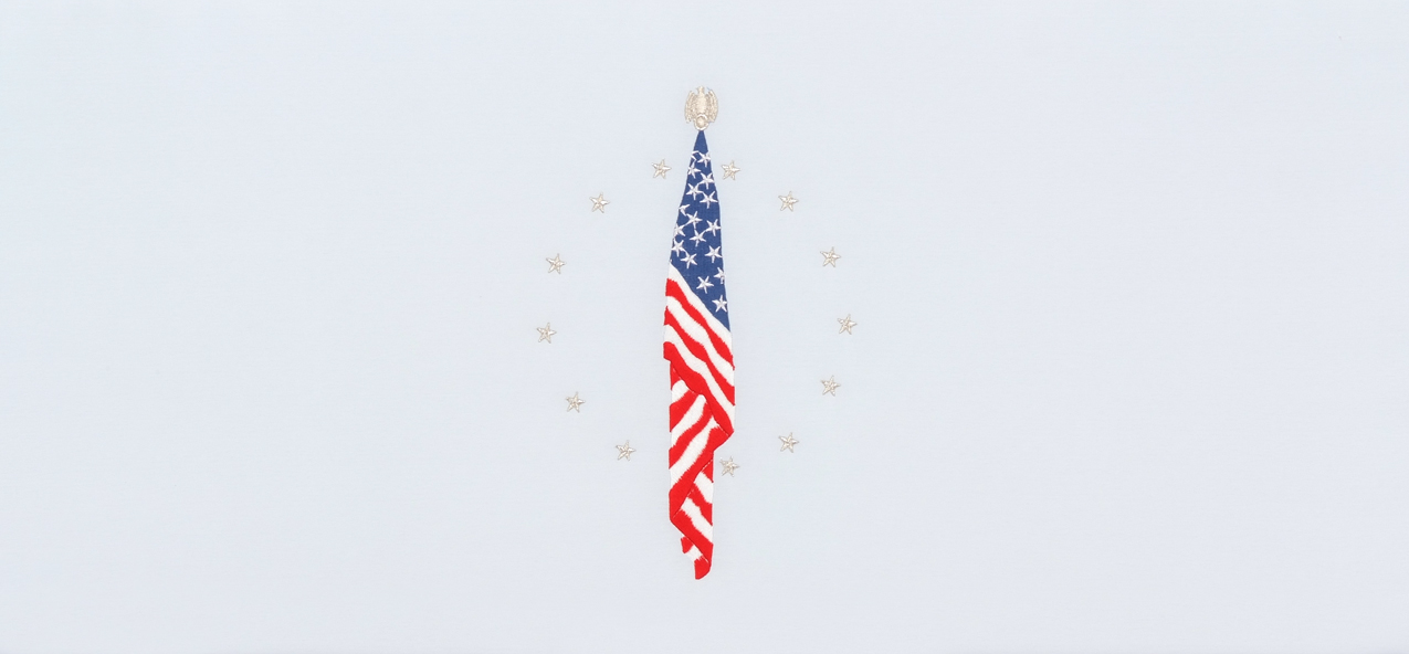 HP-5541 Veteran Flag